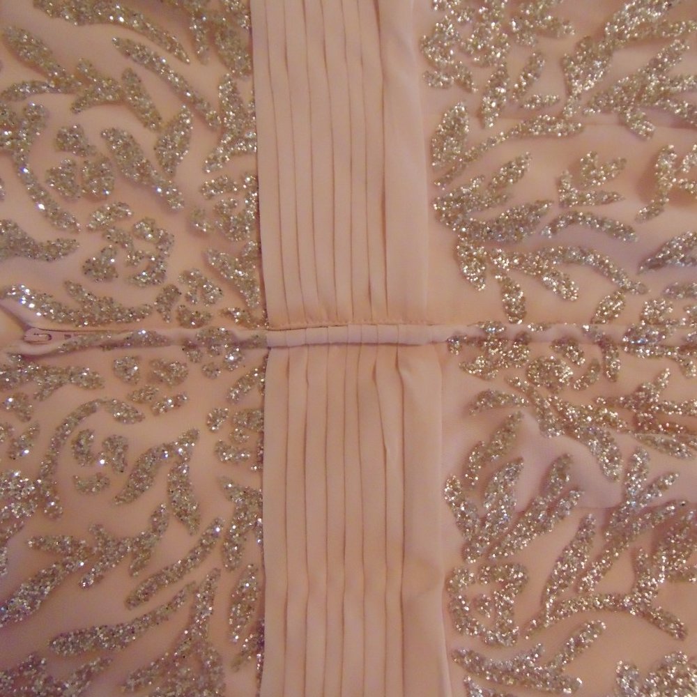 Mother of the Bride peach Chiffon gown by Cameron Blake - Picture 6 of 16